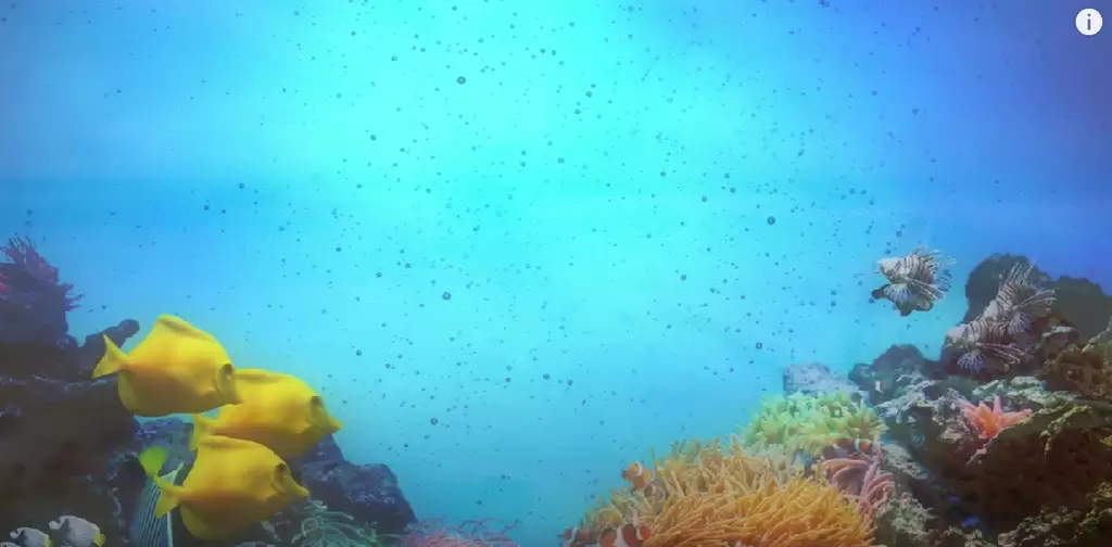 Relaxing Harp Music,Calming Instrumental Background Music